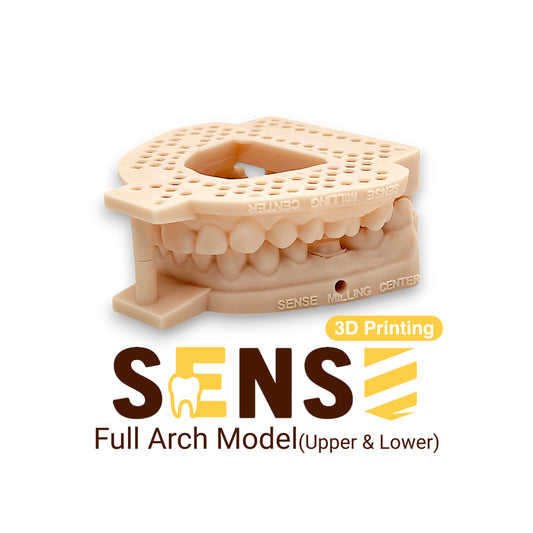 3D Printing Model (Upper&Lower)