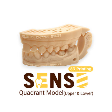 Quadrant 3D Printing Model (Upper & Lower)